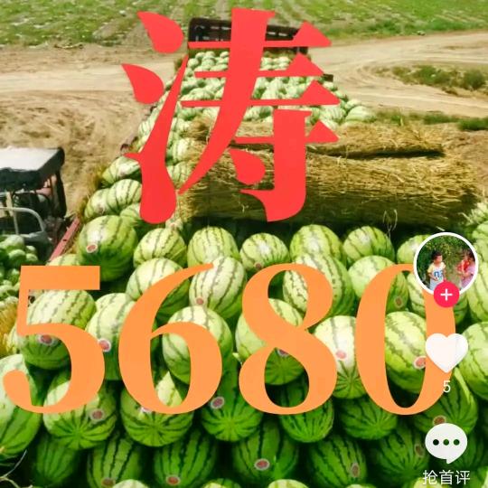 小涛瓜果粮贸直通车