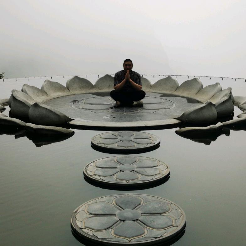 老丁@金乡树哥@