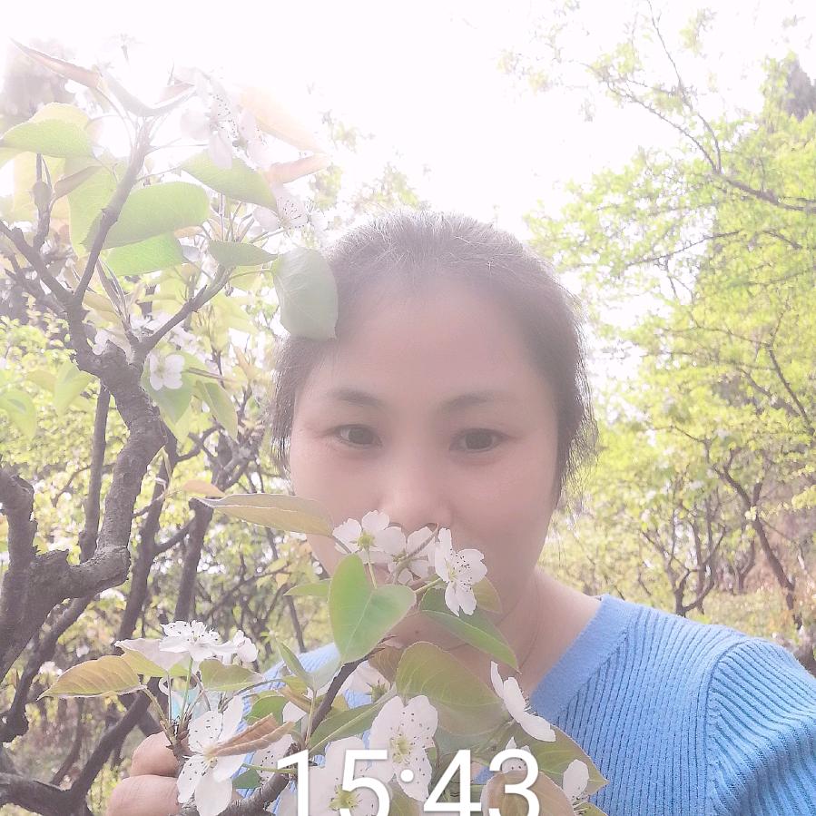向阳花