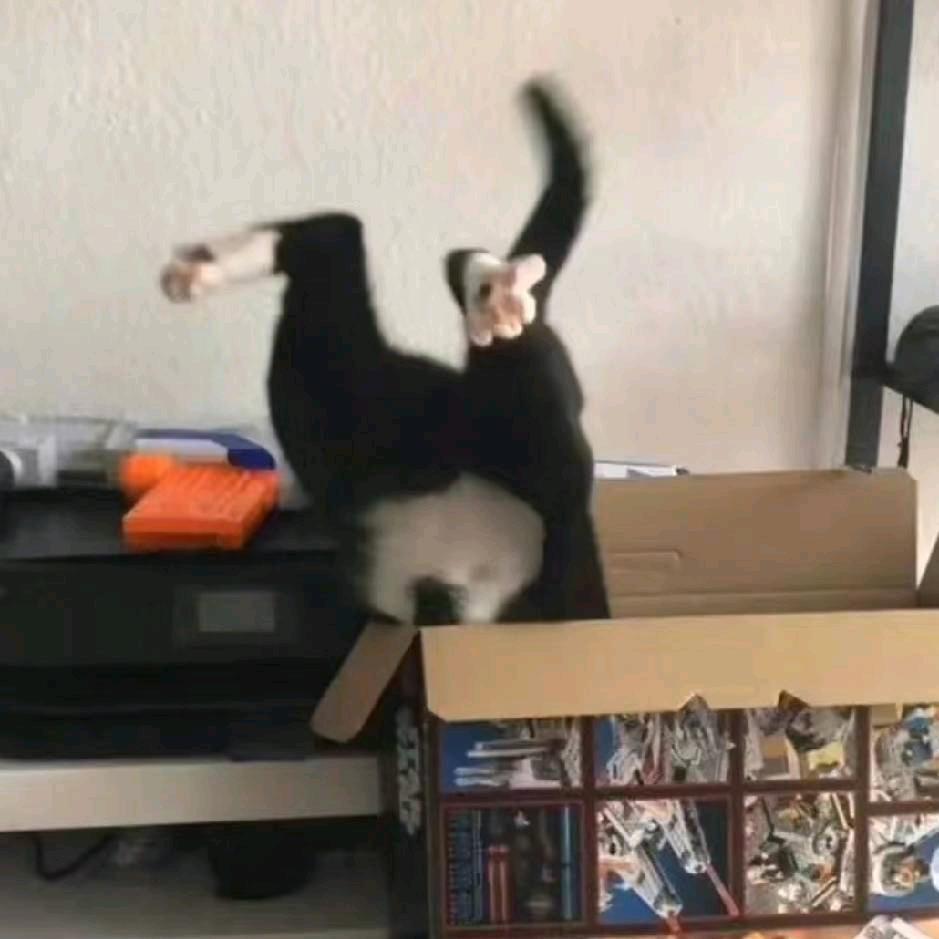 尧十八