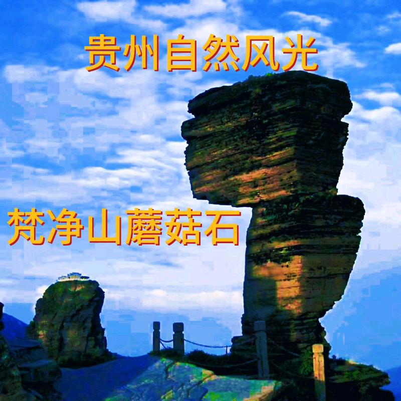 农二代