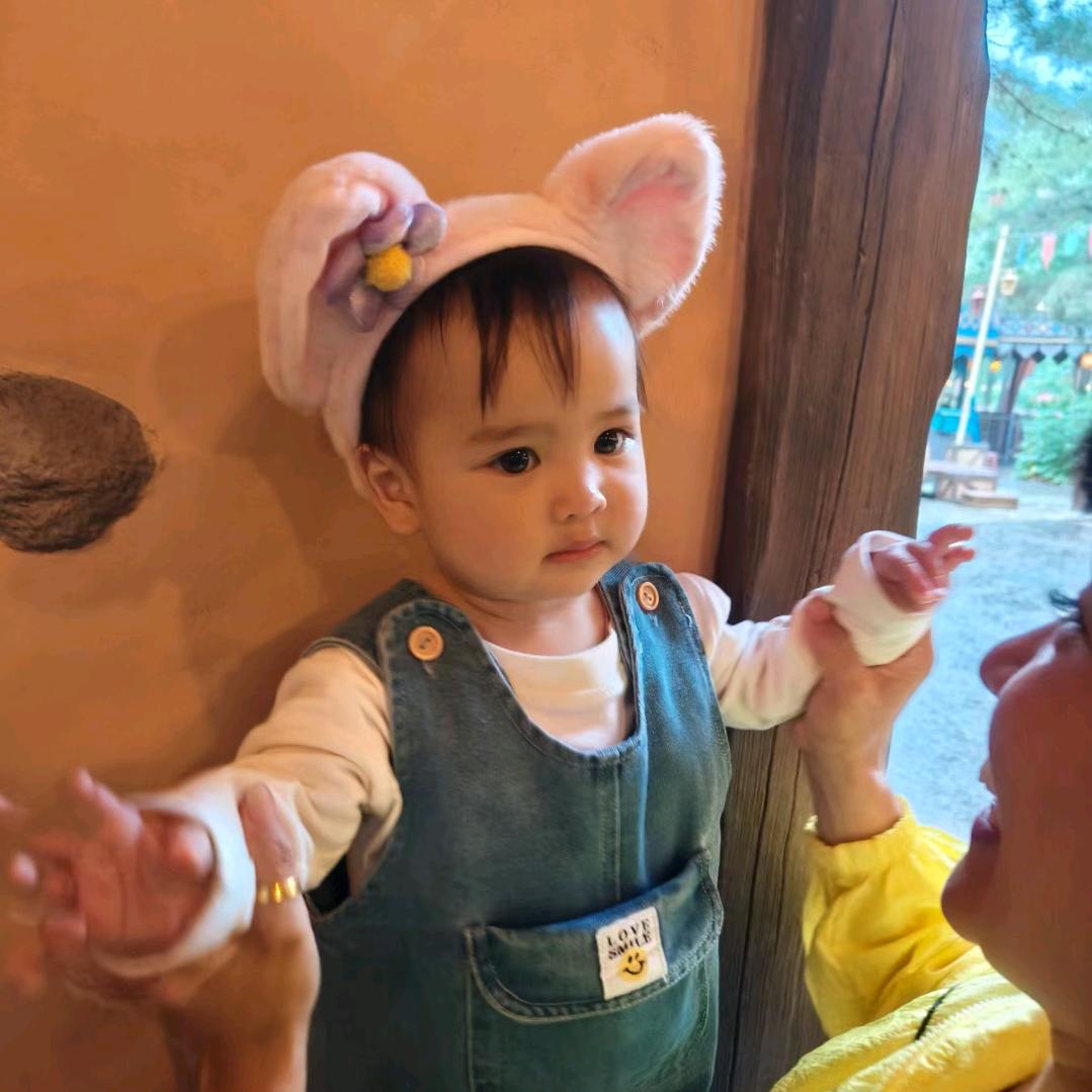 🐰石榴