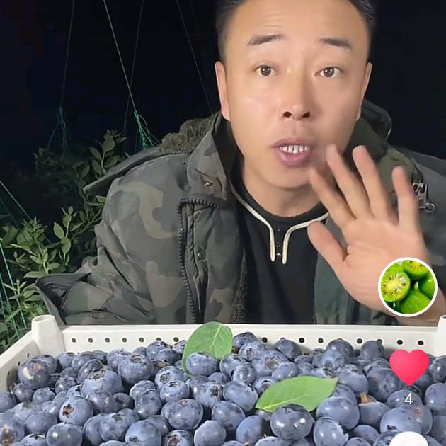 丹东云平水果种植园