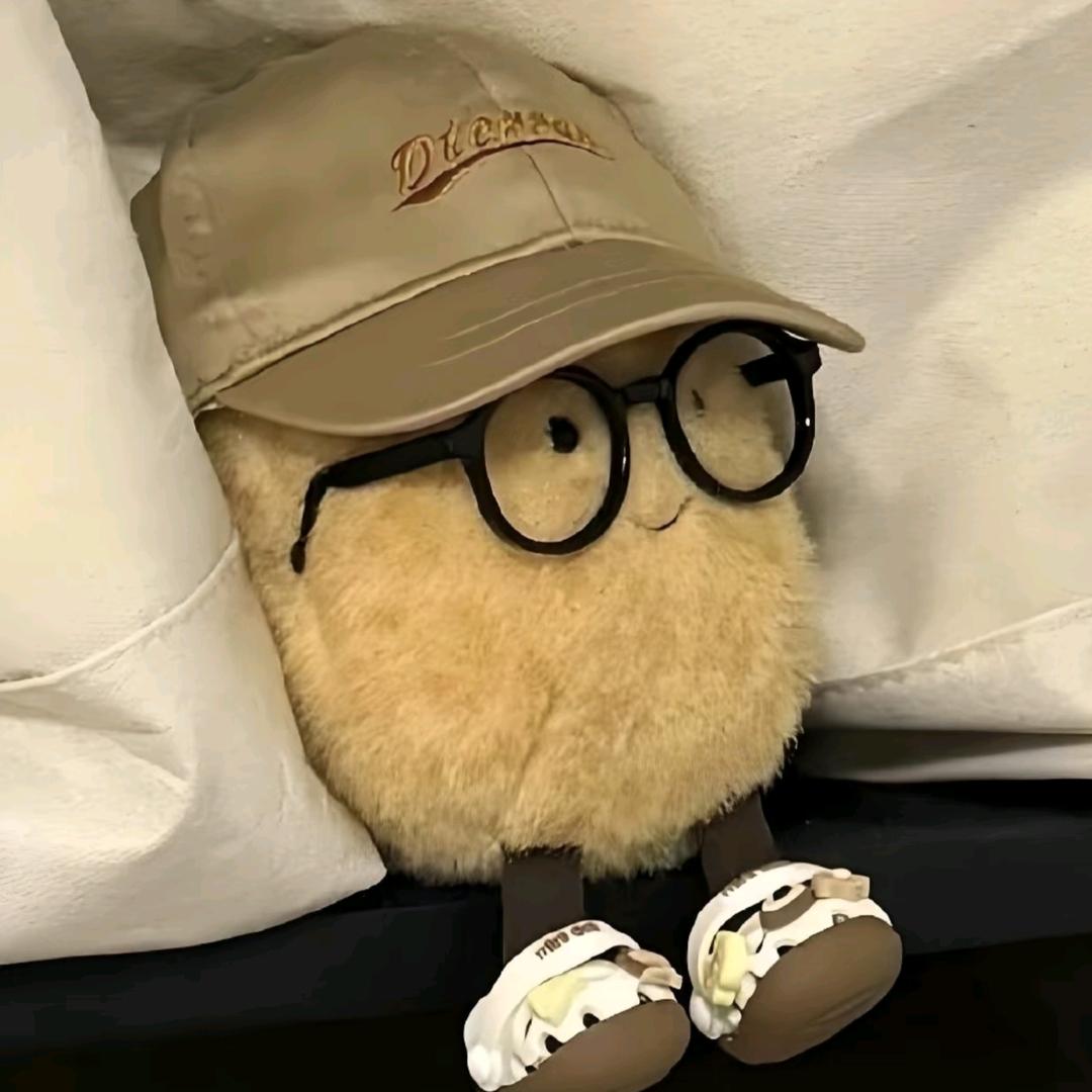 山茶风儿
