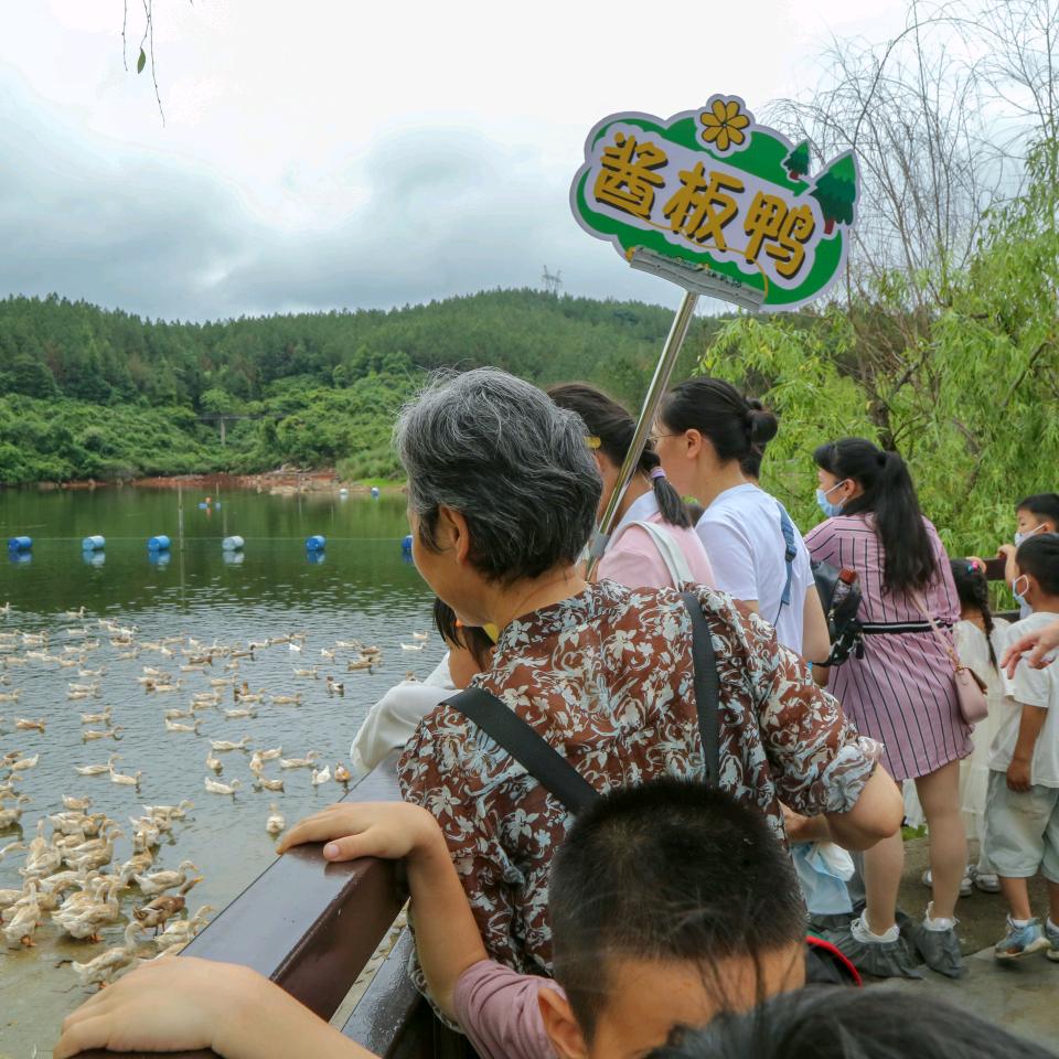 鸭霸王