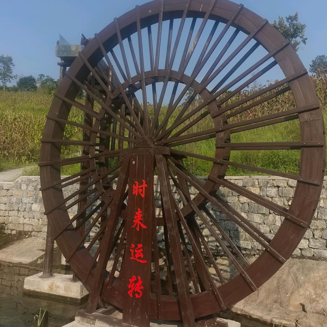 众木成林