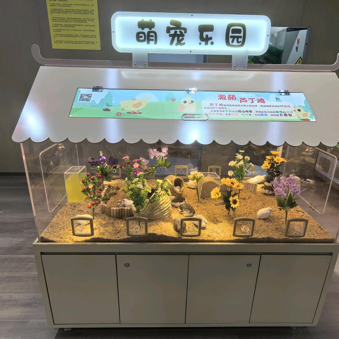 广州玖壹叁萌宠乐园整场规划设计  阿英