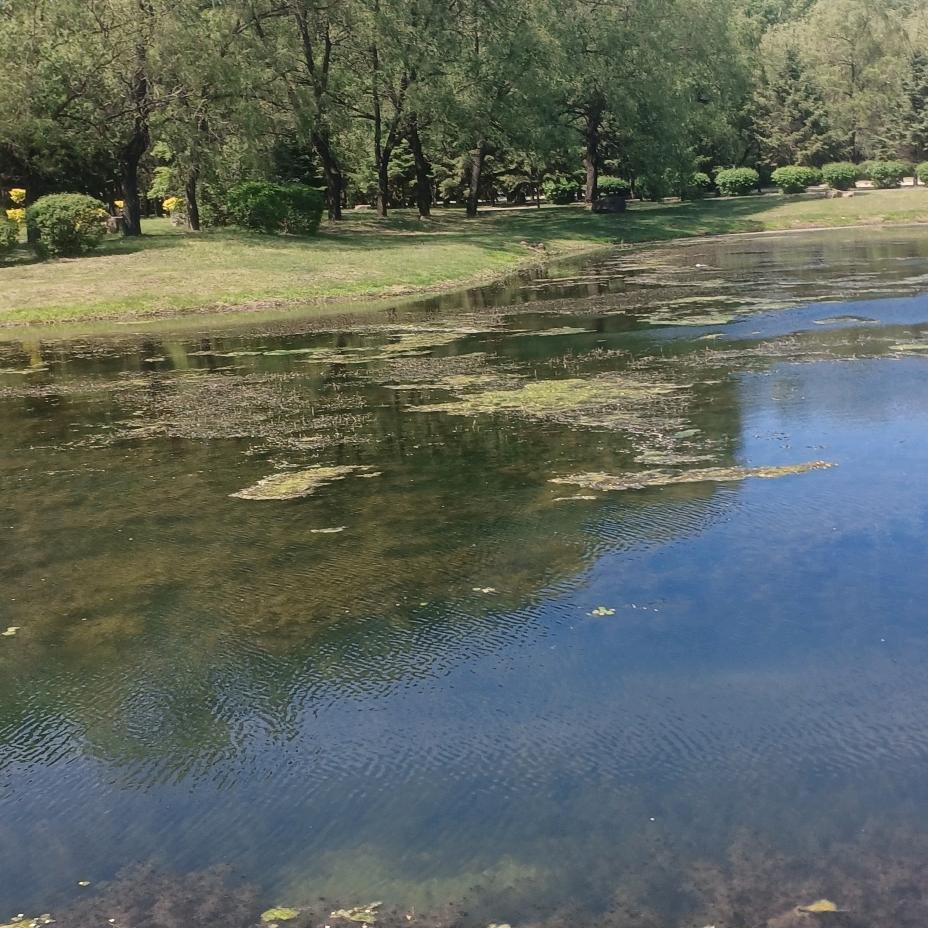 把自己那想的那什牛