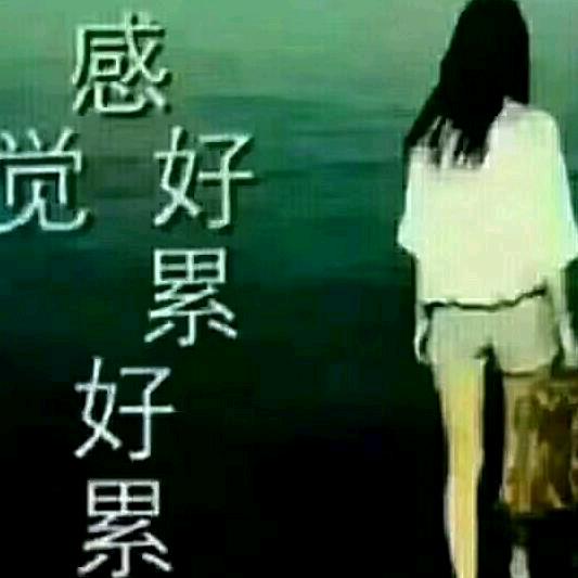 傲雪寒梅