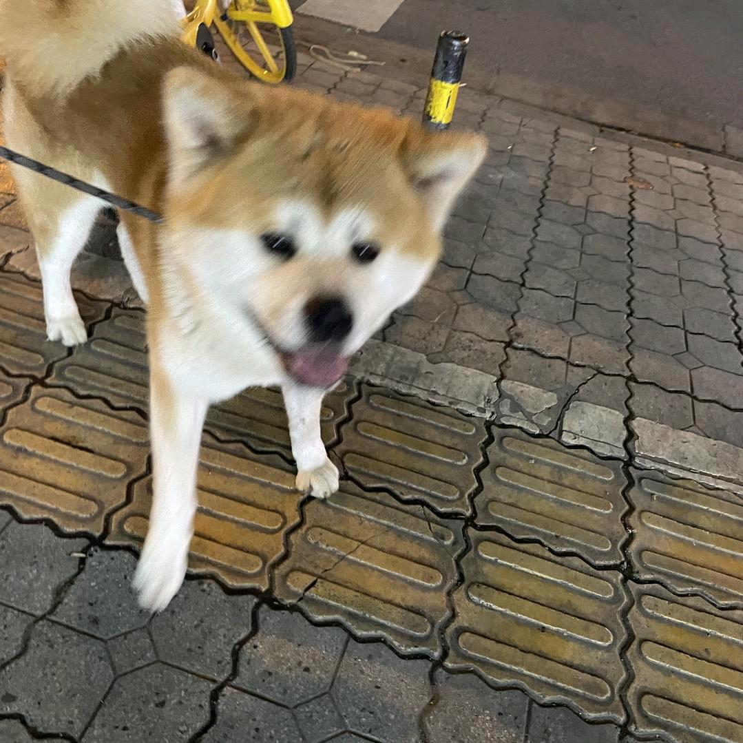 PT-小汪