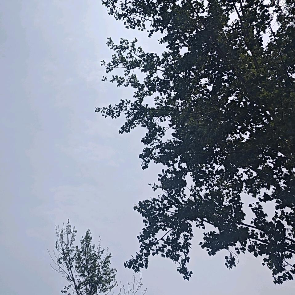 一个俗人
