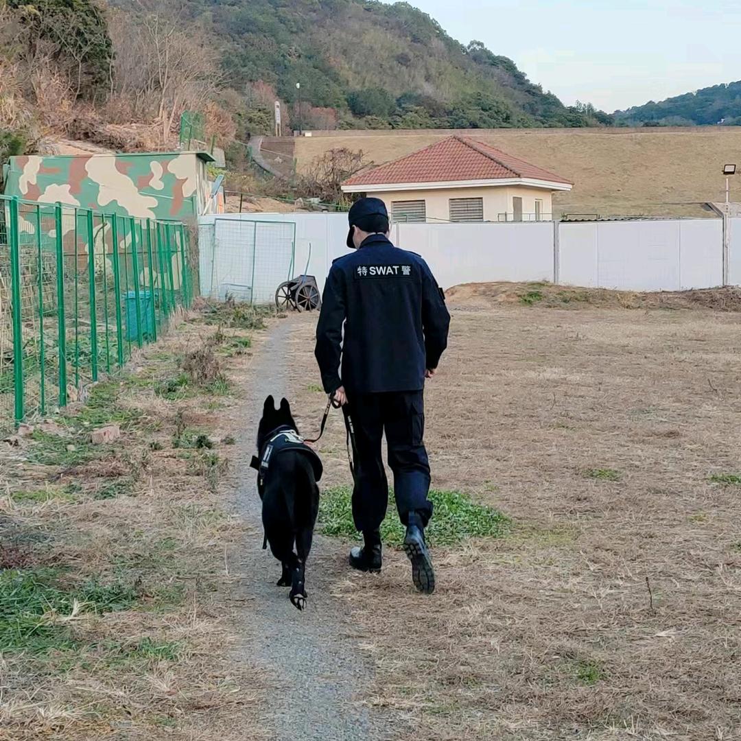 擒贼先擒王先生