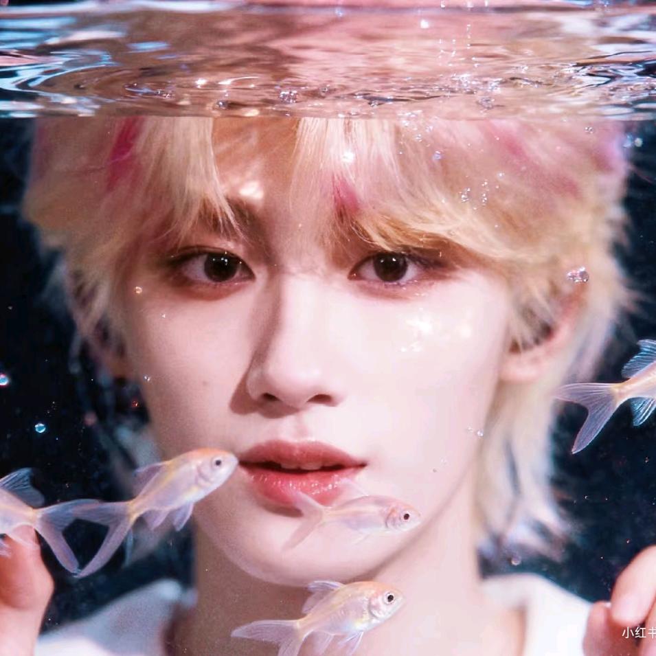 谁都没有你漂亮