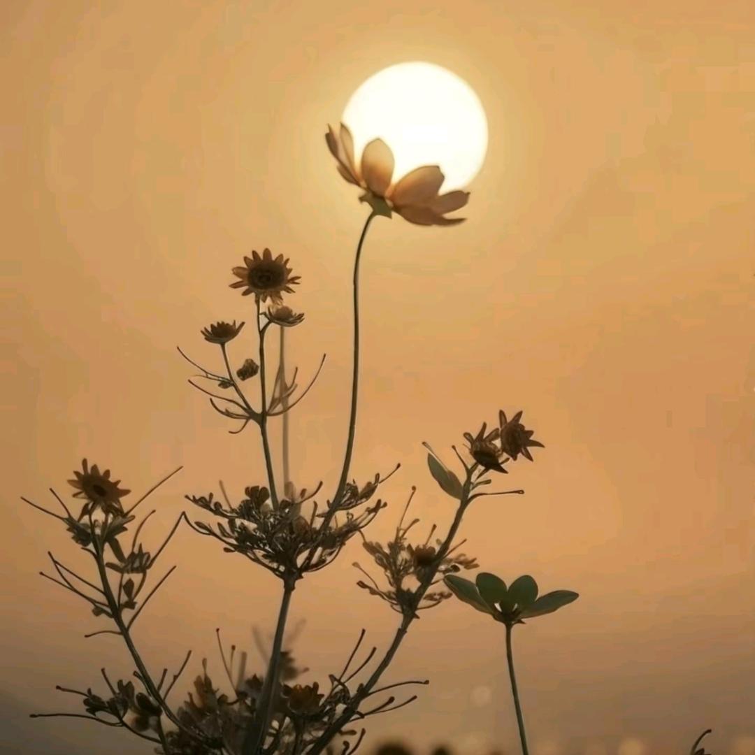 不吃芹菜ξ( ✿＞◡❛)