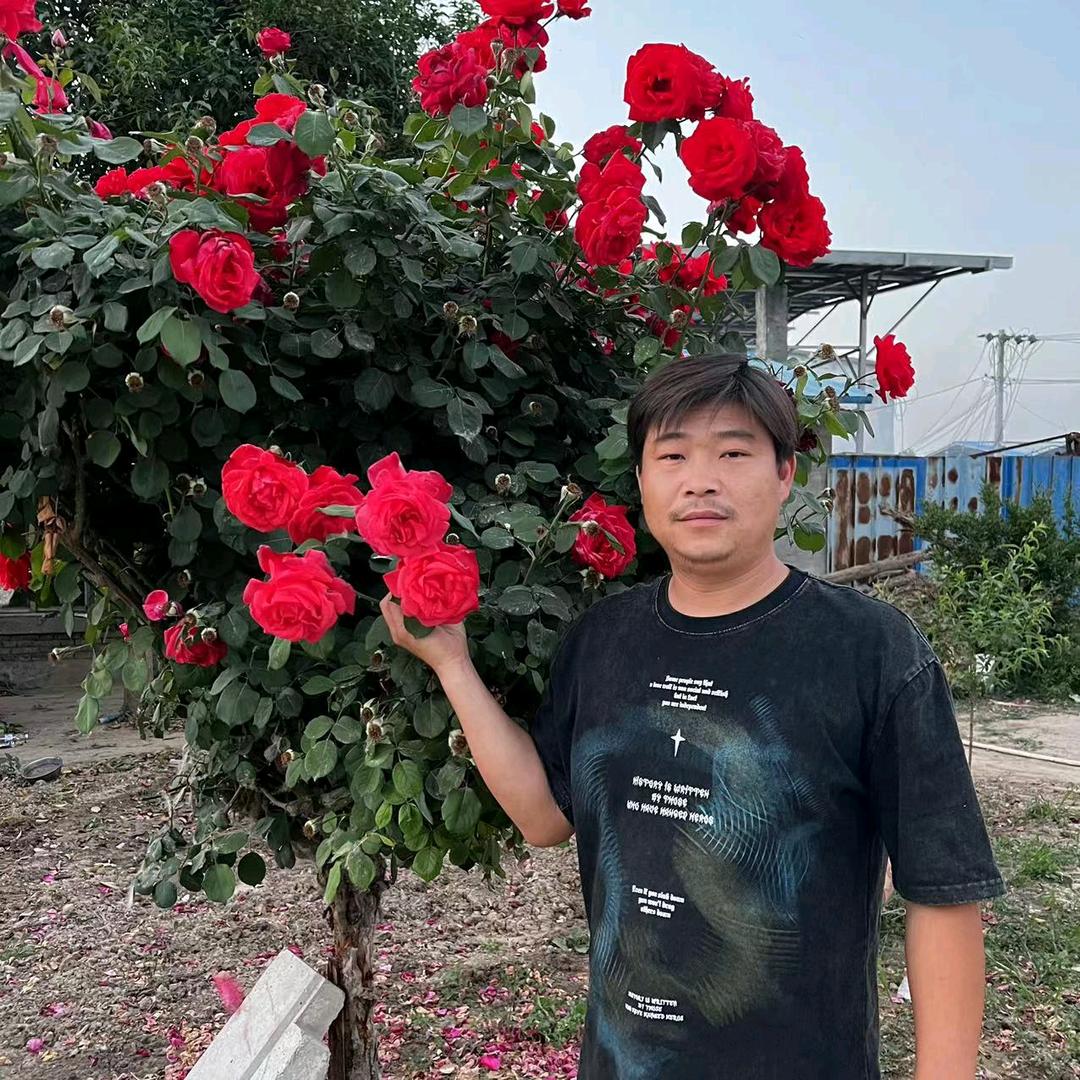 涛哥浪八圈