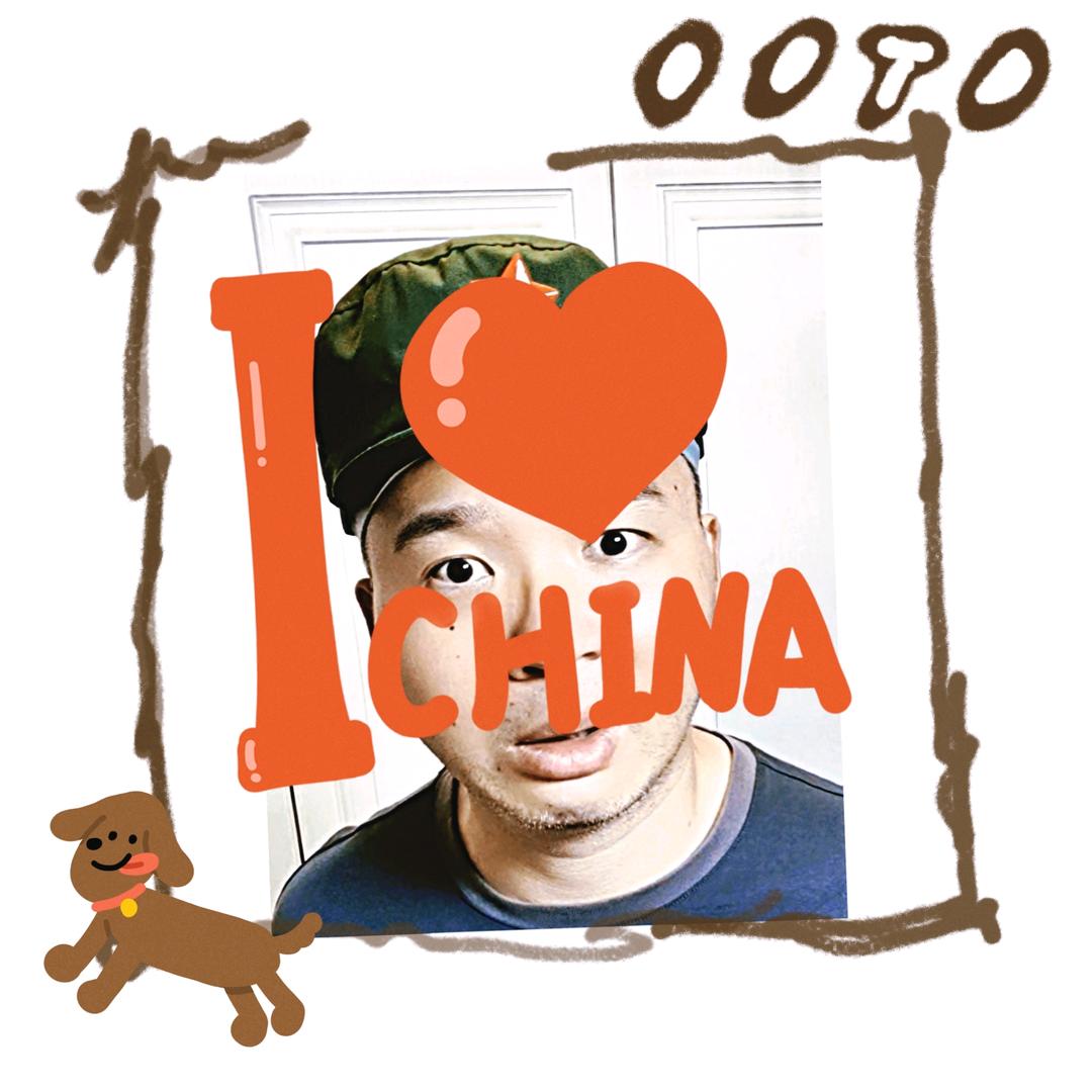 不飞的鸽