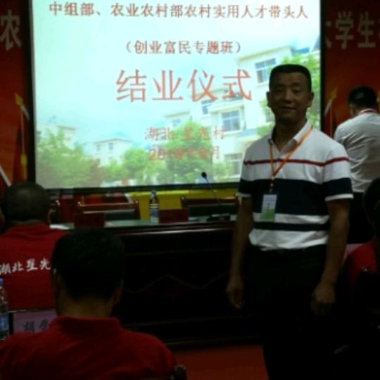 蔡杰