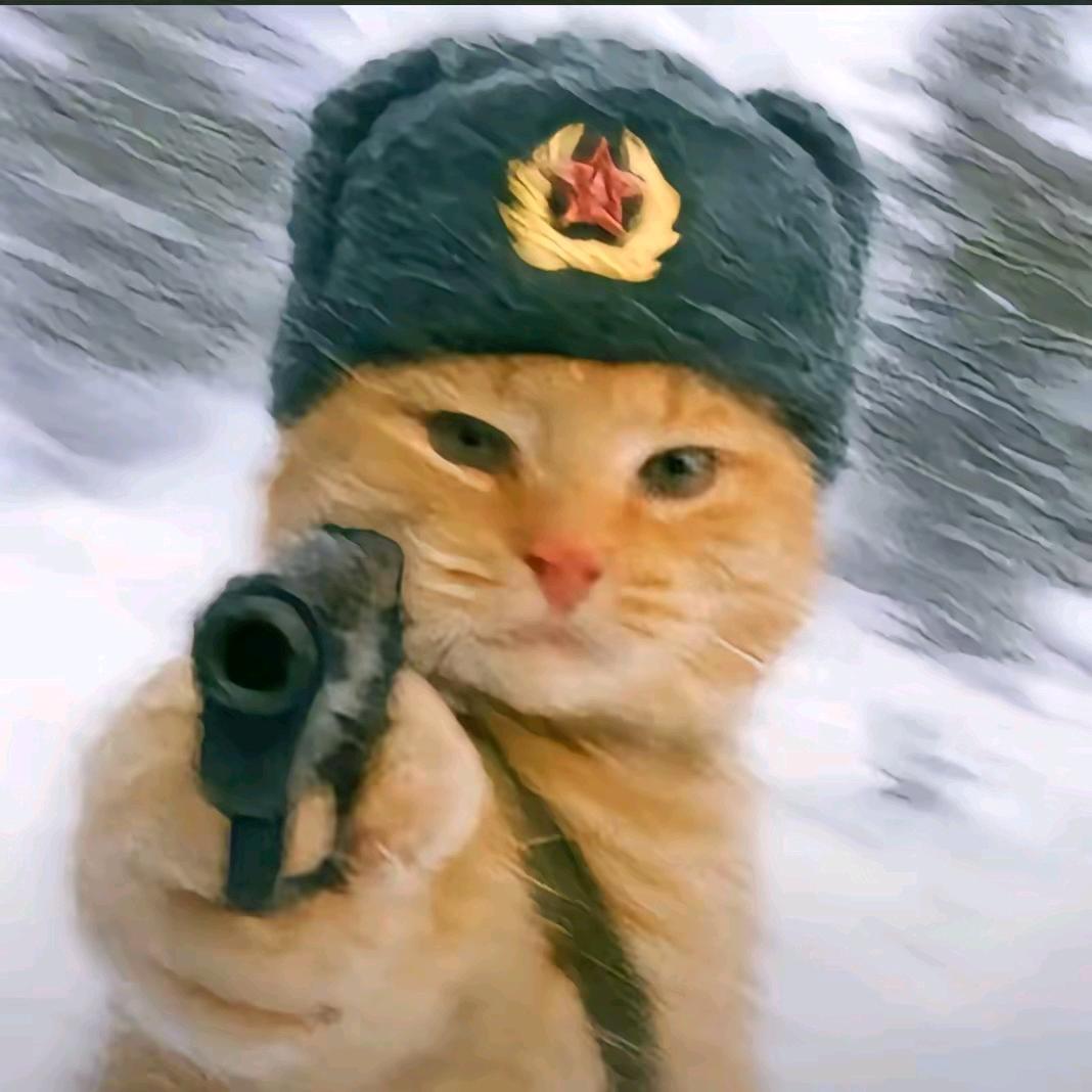 谁是程艾影