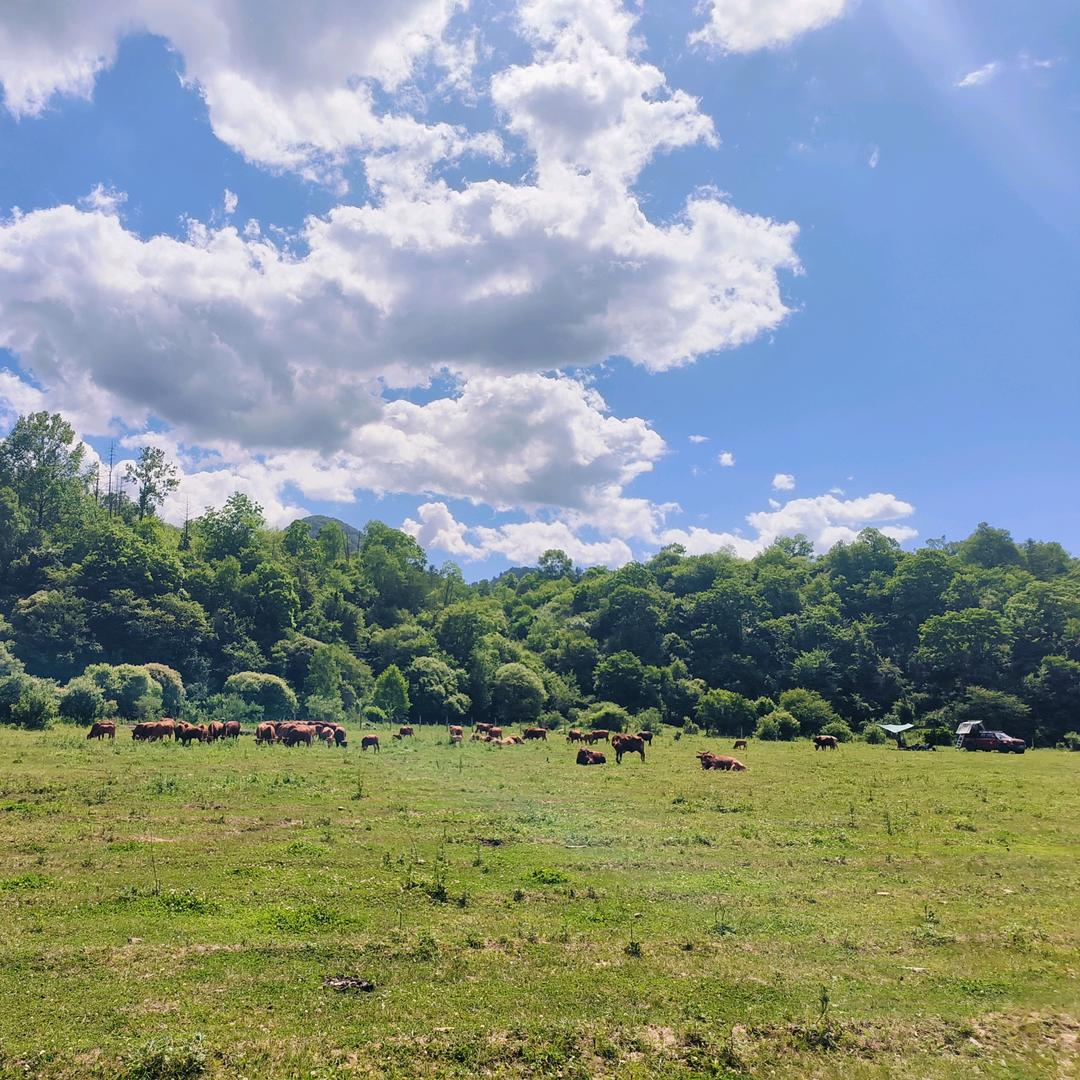 「ZHAO.昕」🇨🇳