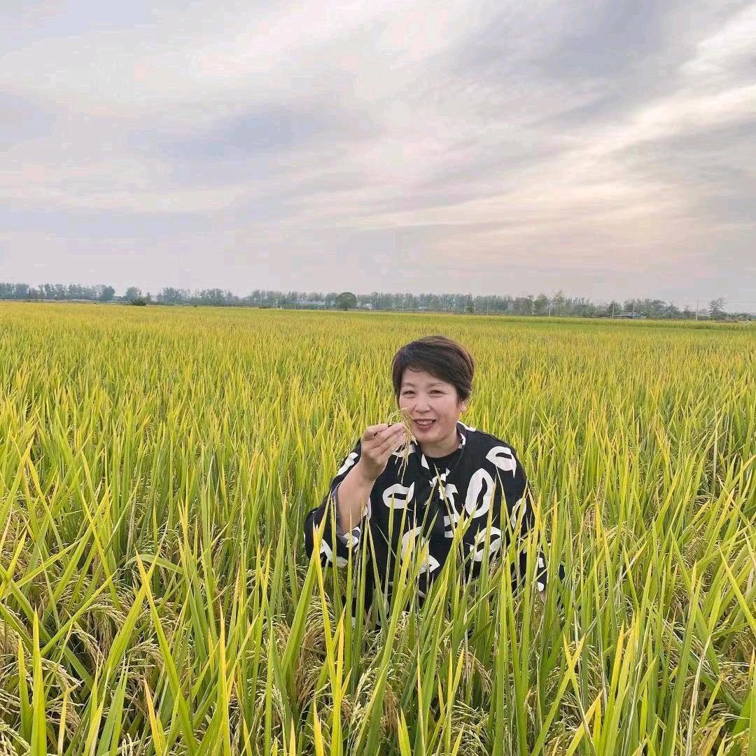杨家三妹
