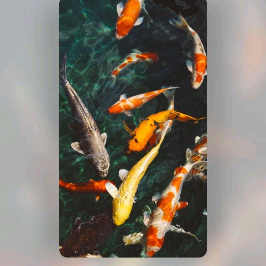 默默付出