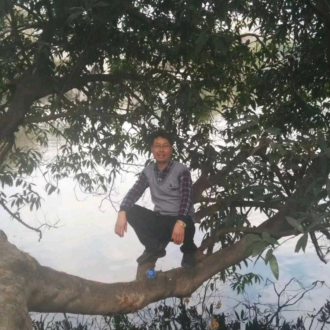 刘君阳
