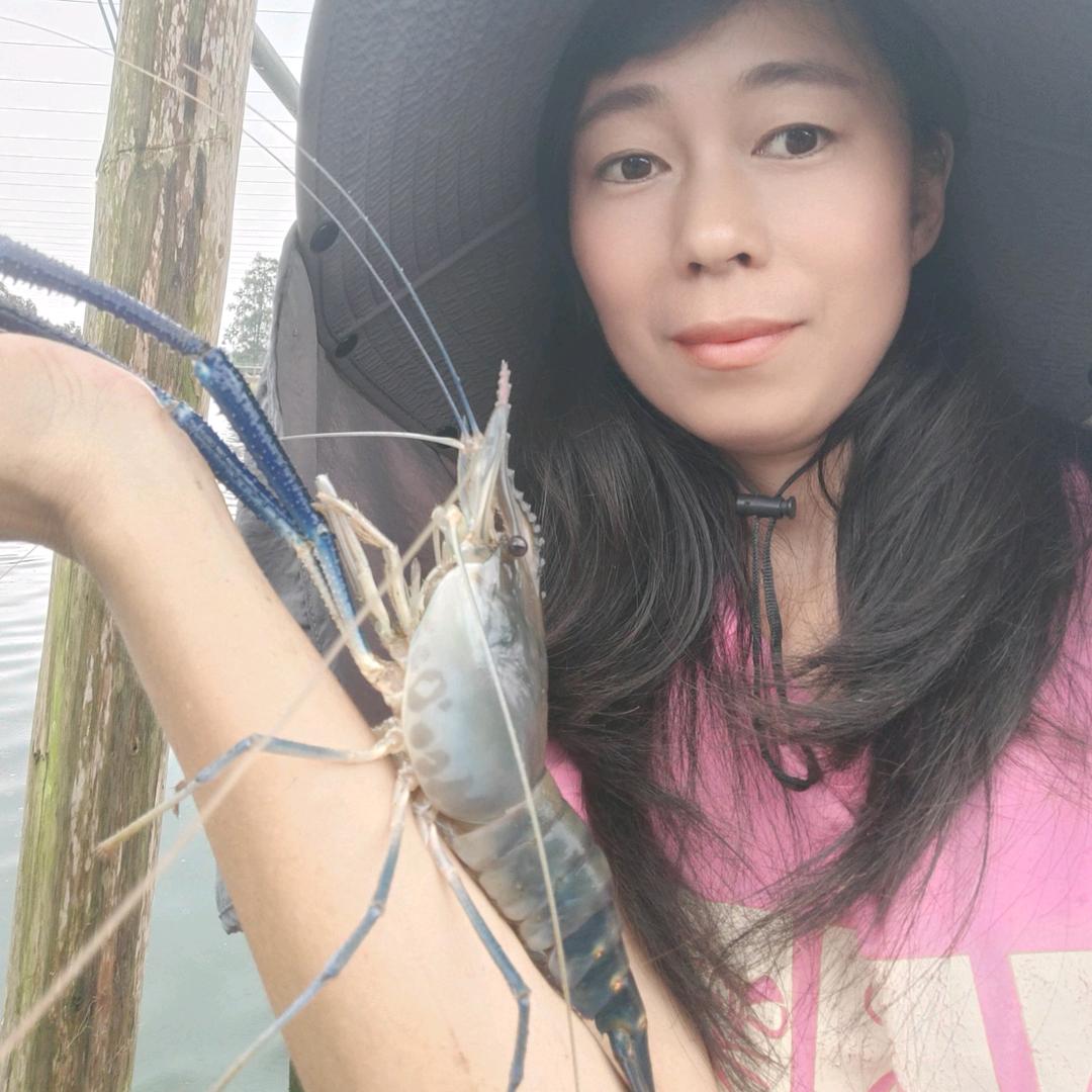 虾妹 存在