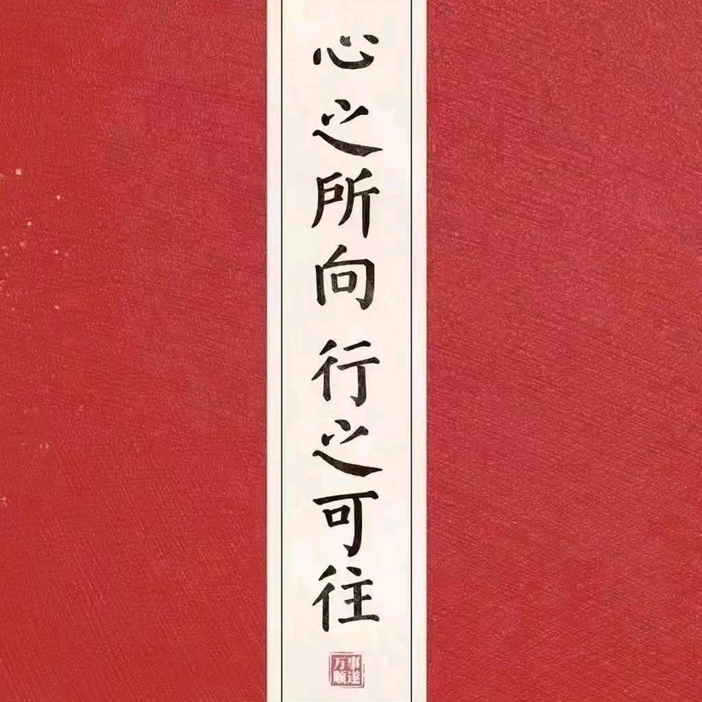 西西【宝藏橱窗】