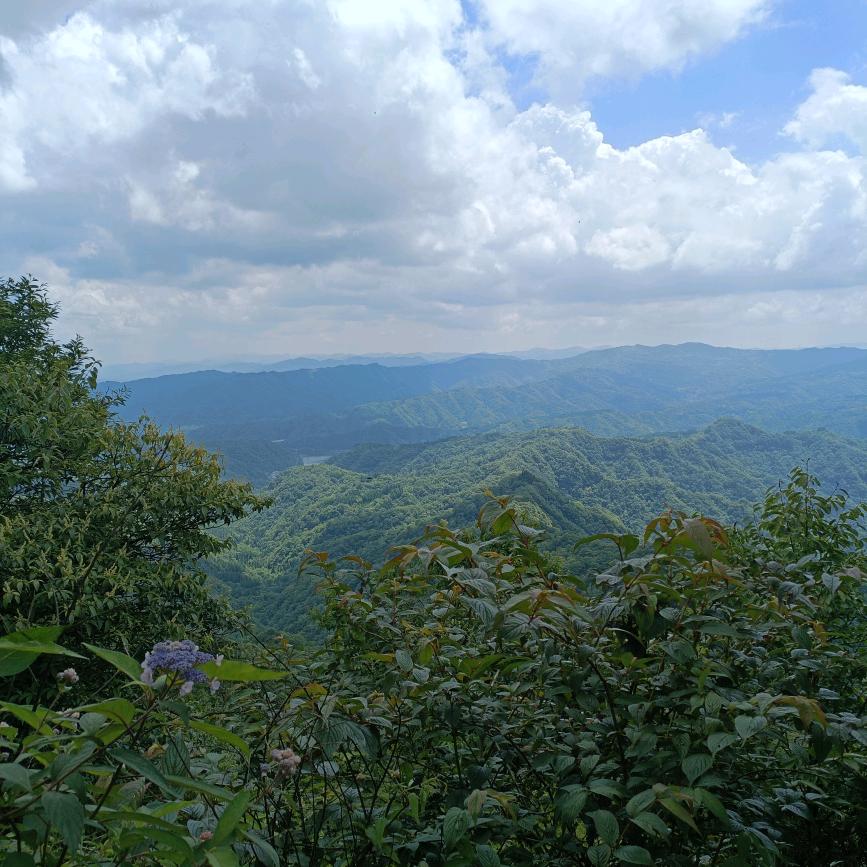 梁山