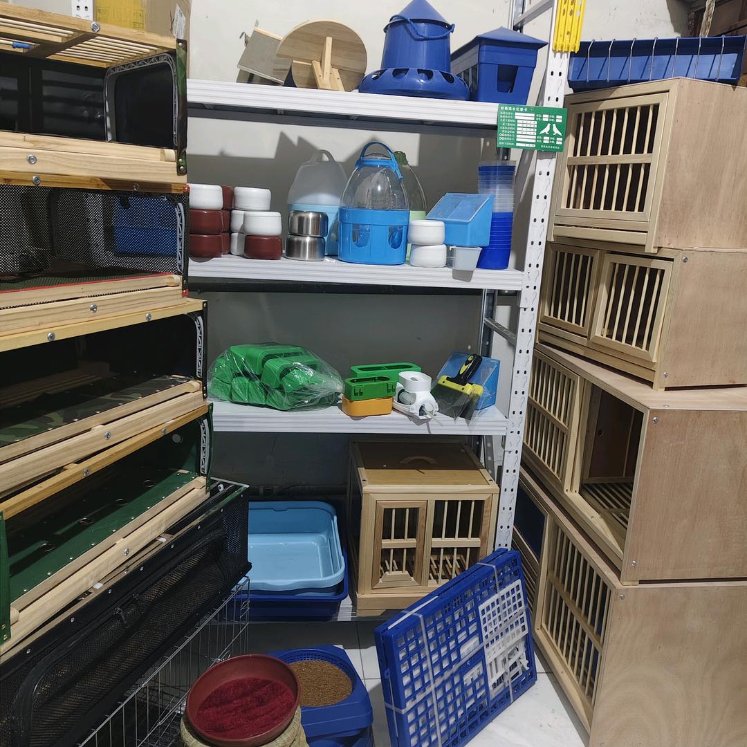 倩倩鸽具用品