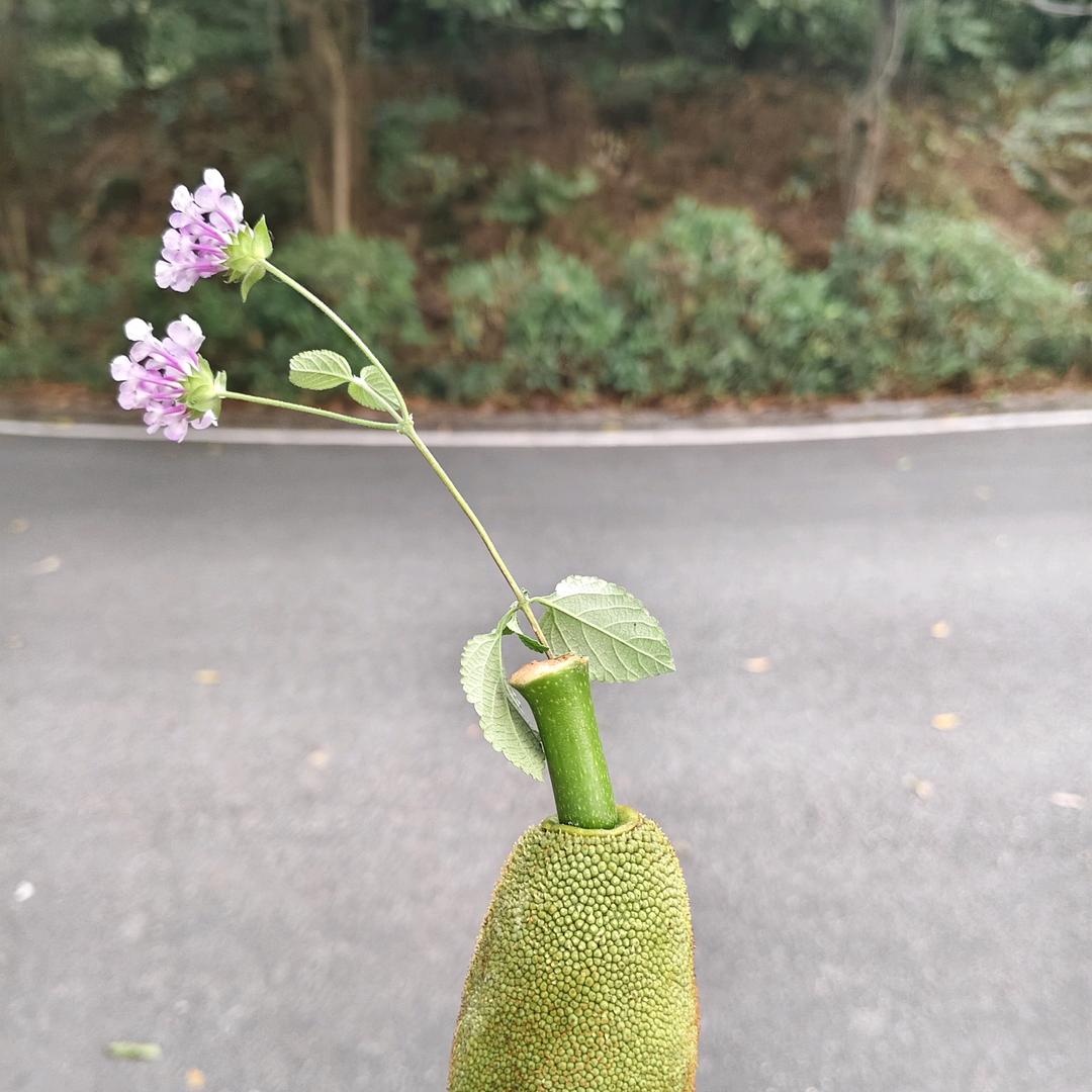 好运连连、，^_^