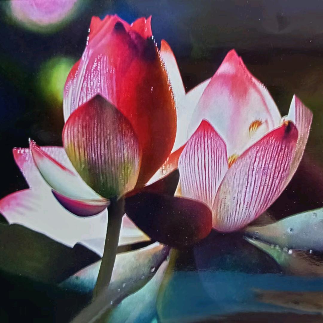 yao瑶的画室