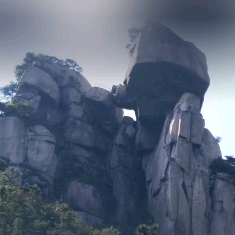 鼎峰茶業（联盟）