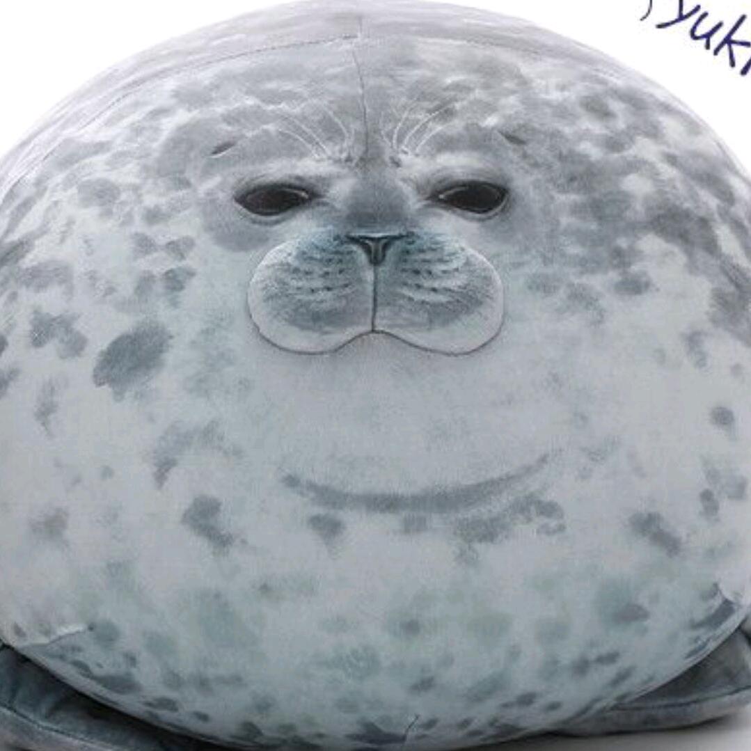 得意的海豹
