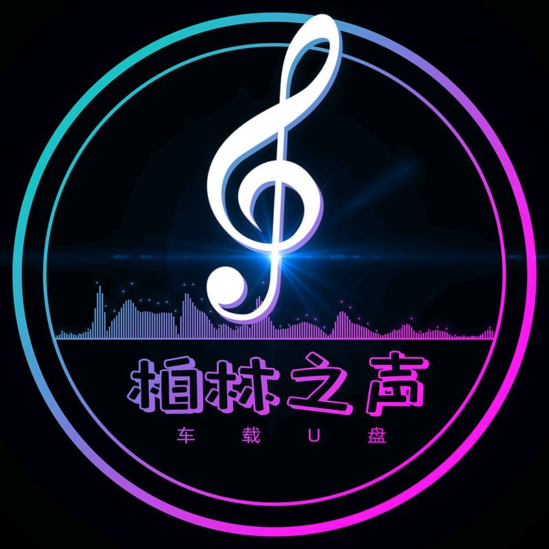 驰音音乐厅U盘