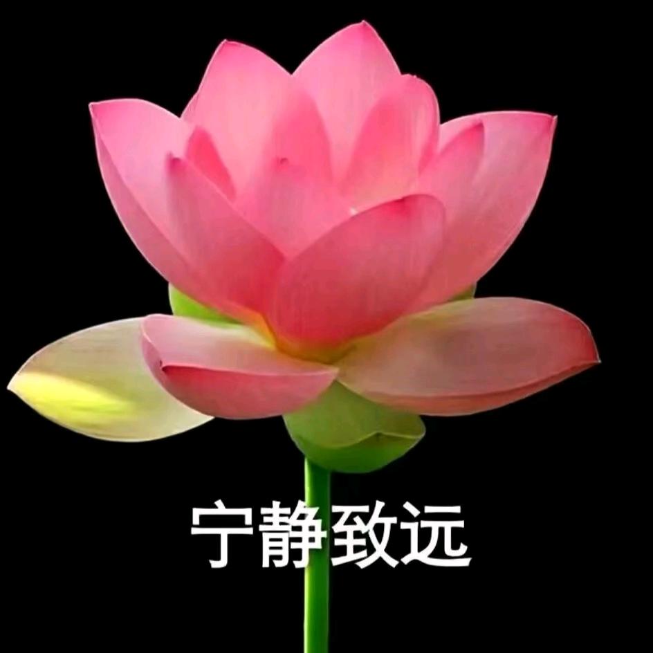 一生平安（王）