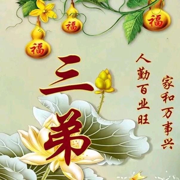 🌹快🌹乐🌹情🌹哥🌹