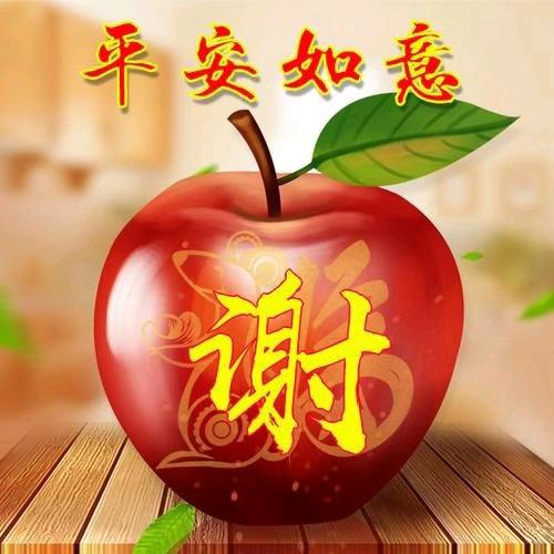 嘻耶谢（和硕专业美缝，水电暖）