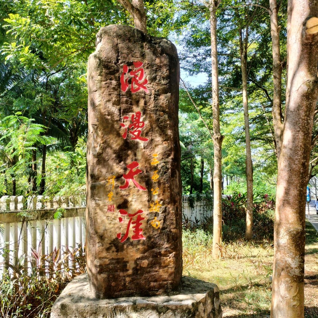 天之涯