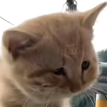 用户147736395525855