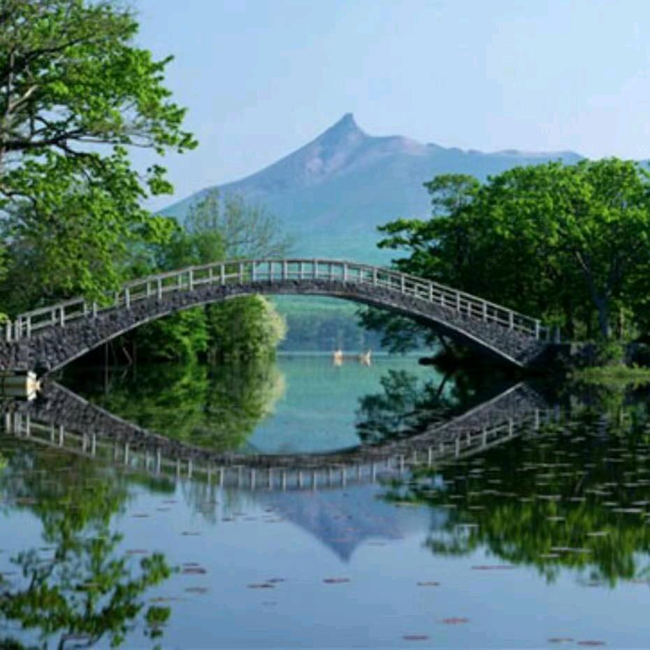 一城山色半城湖