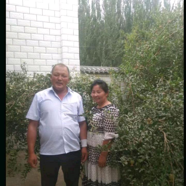 子日帕木吐地