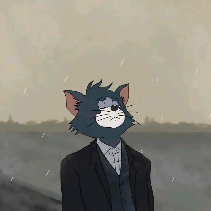凌晨一点的猫🐱