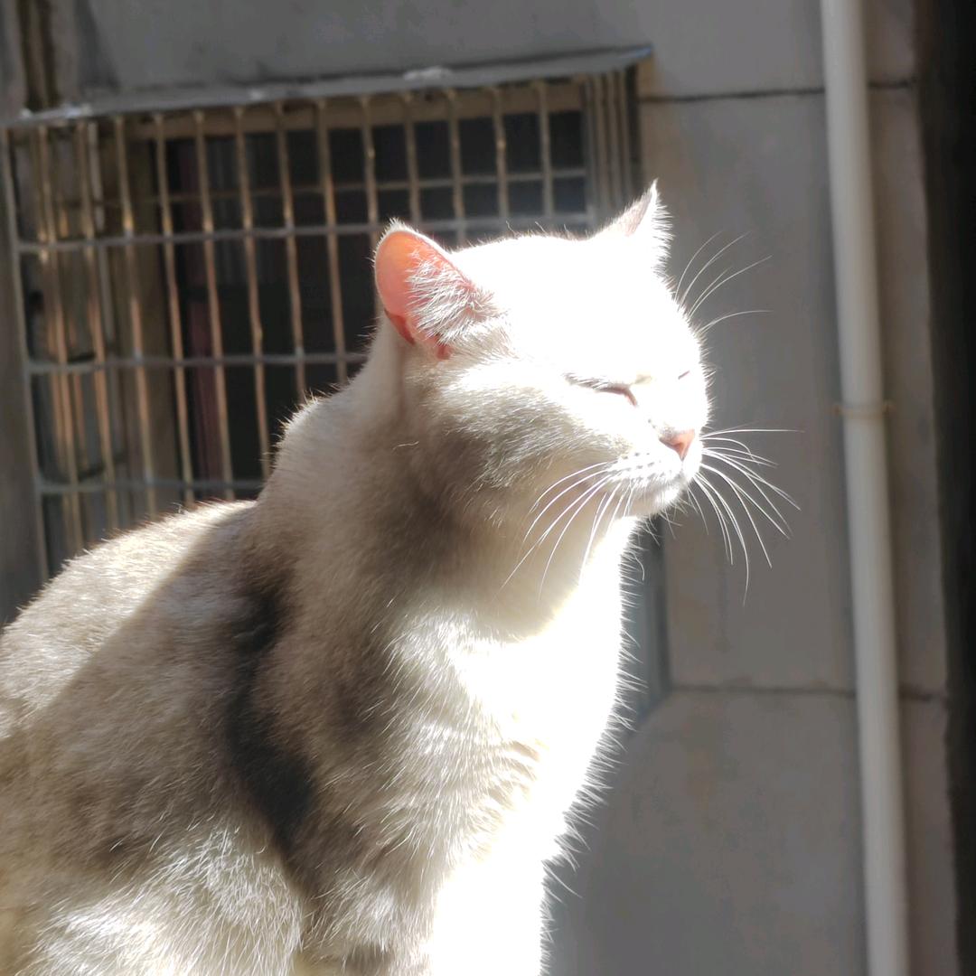 焦糖布丁🍬🍬