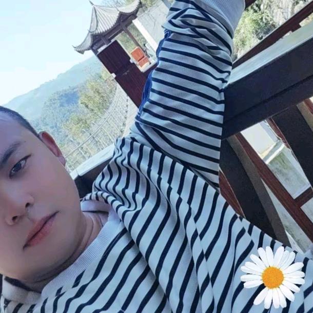 阿尔卑斯