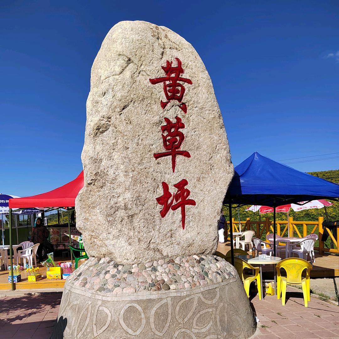 美丽的世界