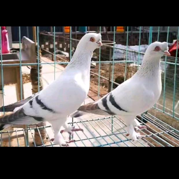 💞༊浅ღ᭄ꦿ꯭এ忆᭄💞