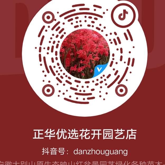 正华优选花开园艺店