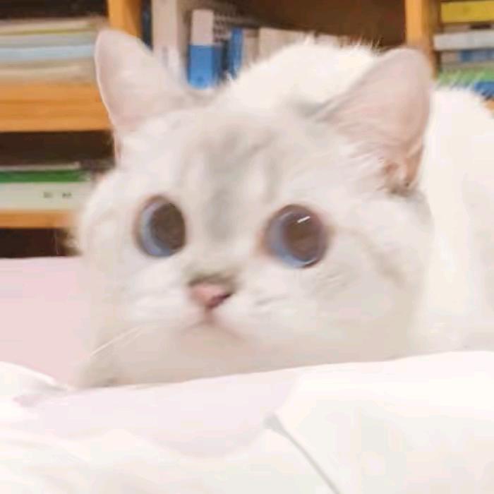 碳烤菠萝