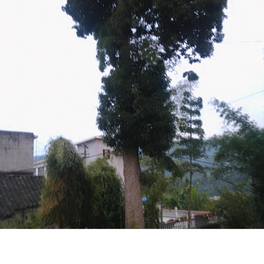 巴山红岩